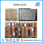 Gellan Gel Gum Food Grade Krim Warna Putih CAS No 71010-52-1 Produksi Daging