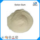 Kualitas tinggi Food Grade, Asil Tinggi / Rendah Asil Gellan Gum untuk produksi minuman