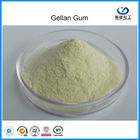 Kualitas tinggi Food Grade, Asil Tinggi / Rendah Asil Gellan Gum untuk produksi minuman