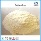 EINECS: 275-117-5 Food Grade Gum Acyl Gellan Berkualitas Tinggi Rendah untuk Produksi Roti